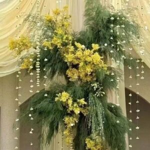 Cận cụm lan vũ nữ vàng lá măng cỏ đuôi chồn dây hoa trắng nhỏ rủ trên voan vàng