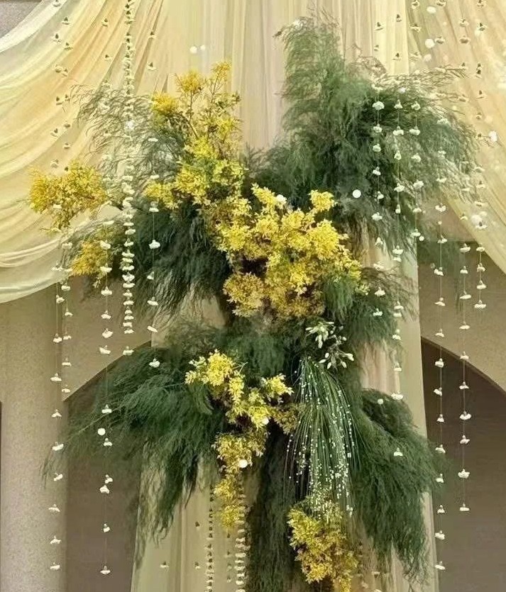 Cận cụm lan vũ nữ vàng lá măng cỏ đuôi chồn dây hoa trắng nhỏ rủ trên voan vàng