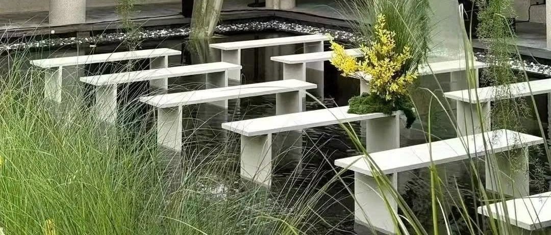 Cận ghế băng trắng chân chìm dưới bể nước nông cụm lan vàng rêu xanh cỏ lau