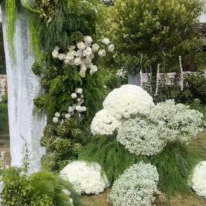 Cổng hoa cưới ngoài trời voan trắng lá xanh khối cẩm tú cầu trắng lối đi