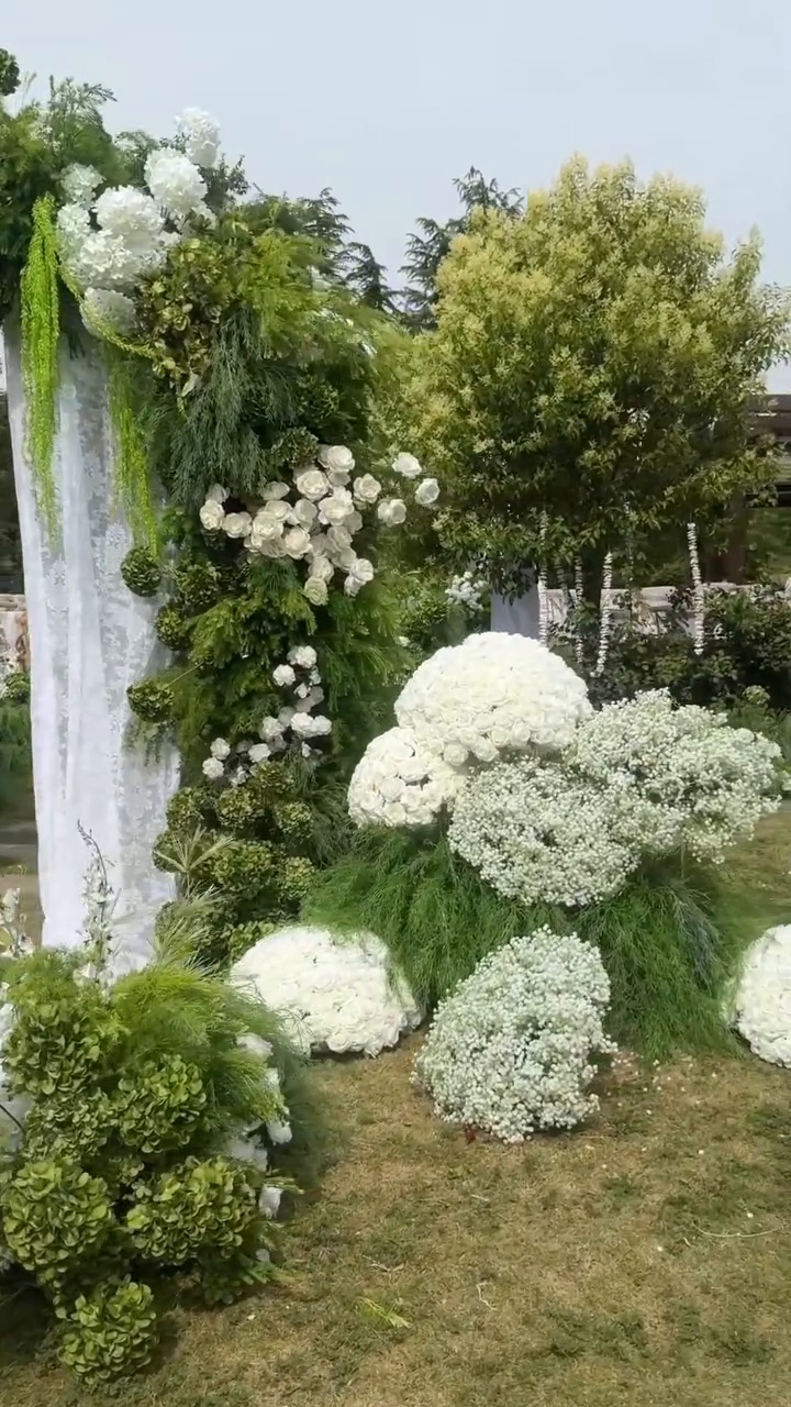 Cổng hoa cưới ngoài trời voan trắng lá xanh khối cẩm tú cầu trắng lối đi